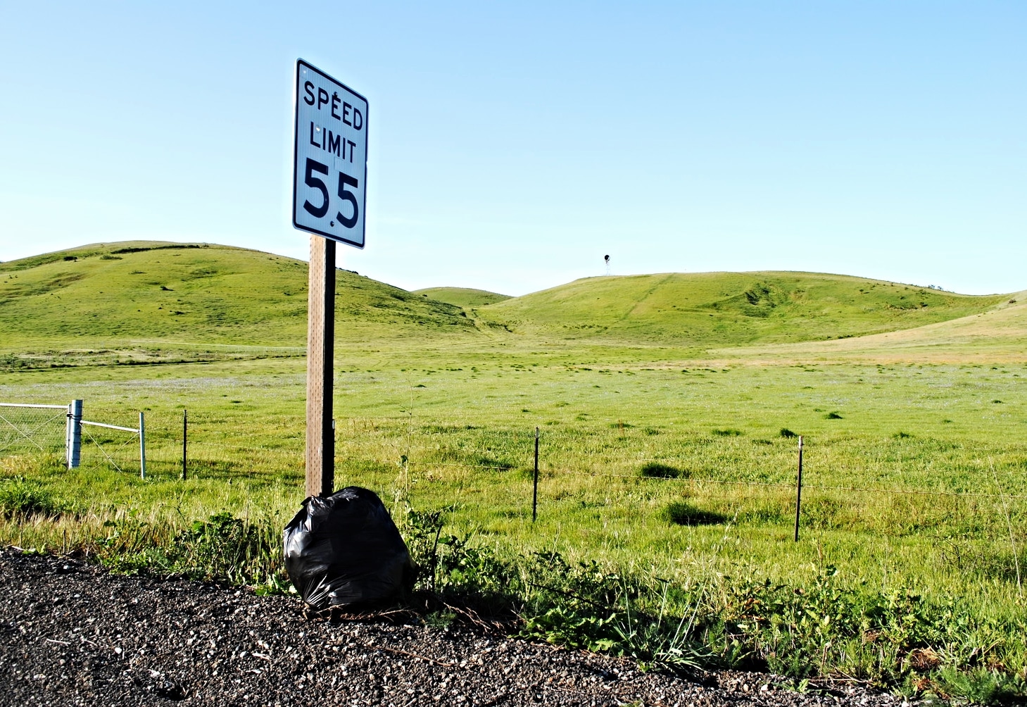  On my way to work this morning. It's not uncommon to drive past a couple of trash bags tossed out into the fields the night before.  