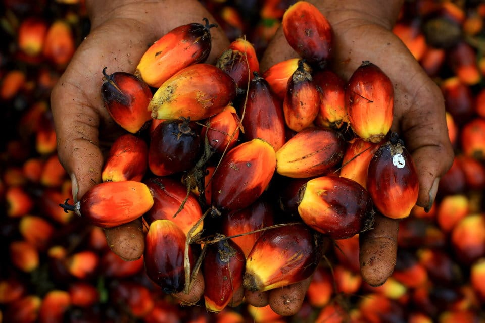 photo from huffingtonpost.com