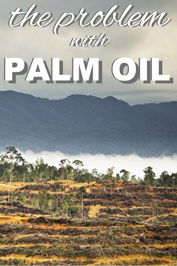 The problem with palm oil from www.goingzerowaste.mom #palmoil 