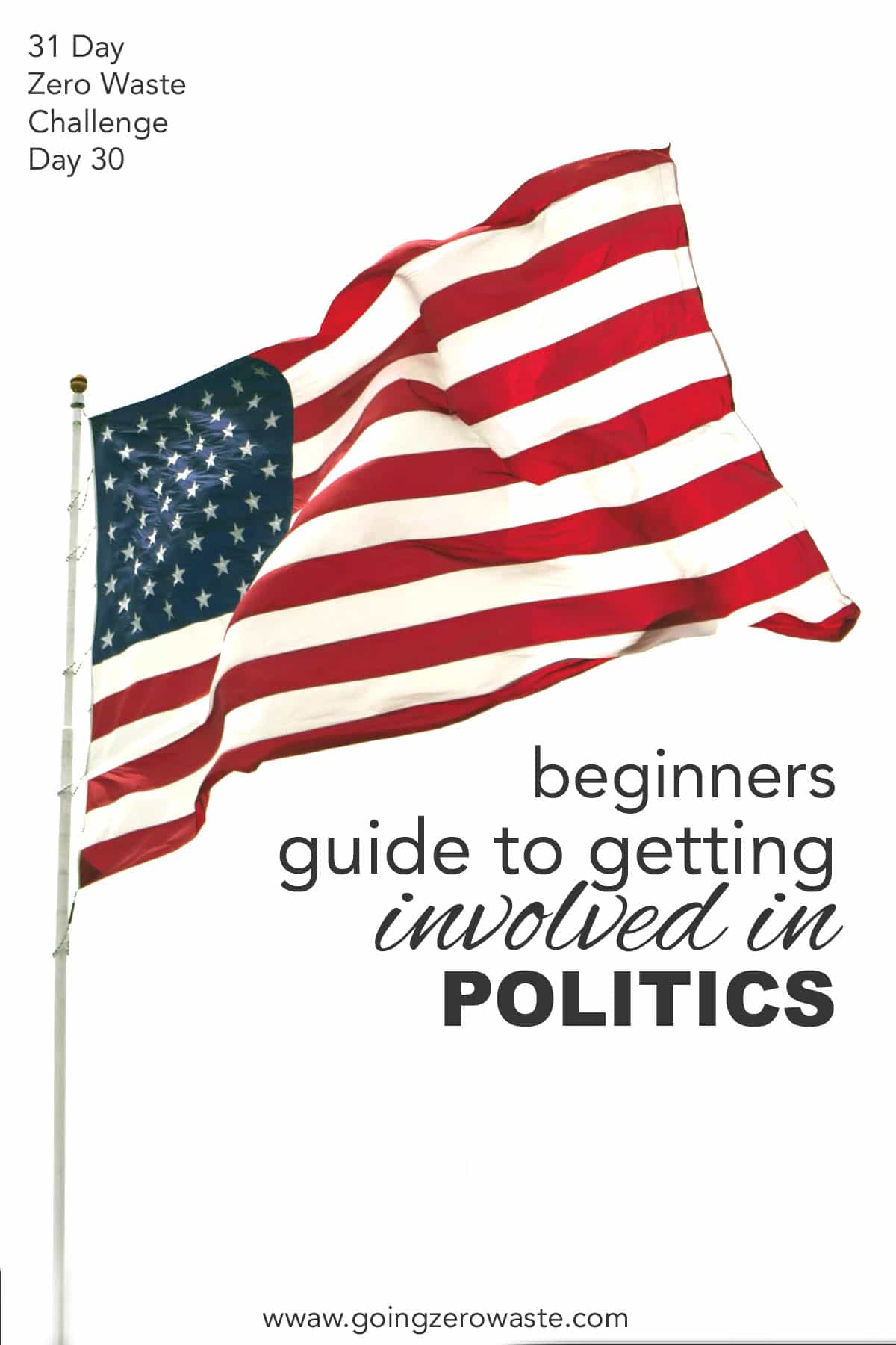 Beginners Guide to Getting Politically Involved - Day 30 of the Zero Waste Challenge from www.goingzerowaste.mom #zerowaste #ecofriendly #gogreen #sustainable #zerowastechallenge #challenge #sustainablelivingchallenge #getpolticallyactive #politics #localgovernment