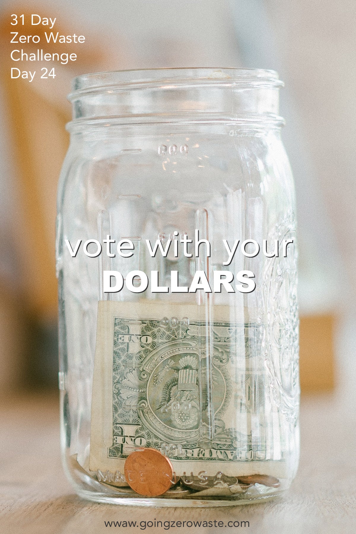 Vote With Your Dollars - Day 24 of the Zero Waste Challenge from www.goingzerowaste.mom #zerowaste #ecofriendly #gogreen #sustainable #zerowastechallenge #challenge #sustainablelivingchallenge #votewithyourdollars