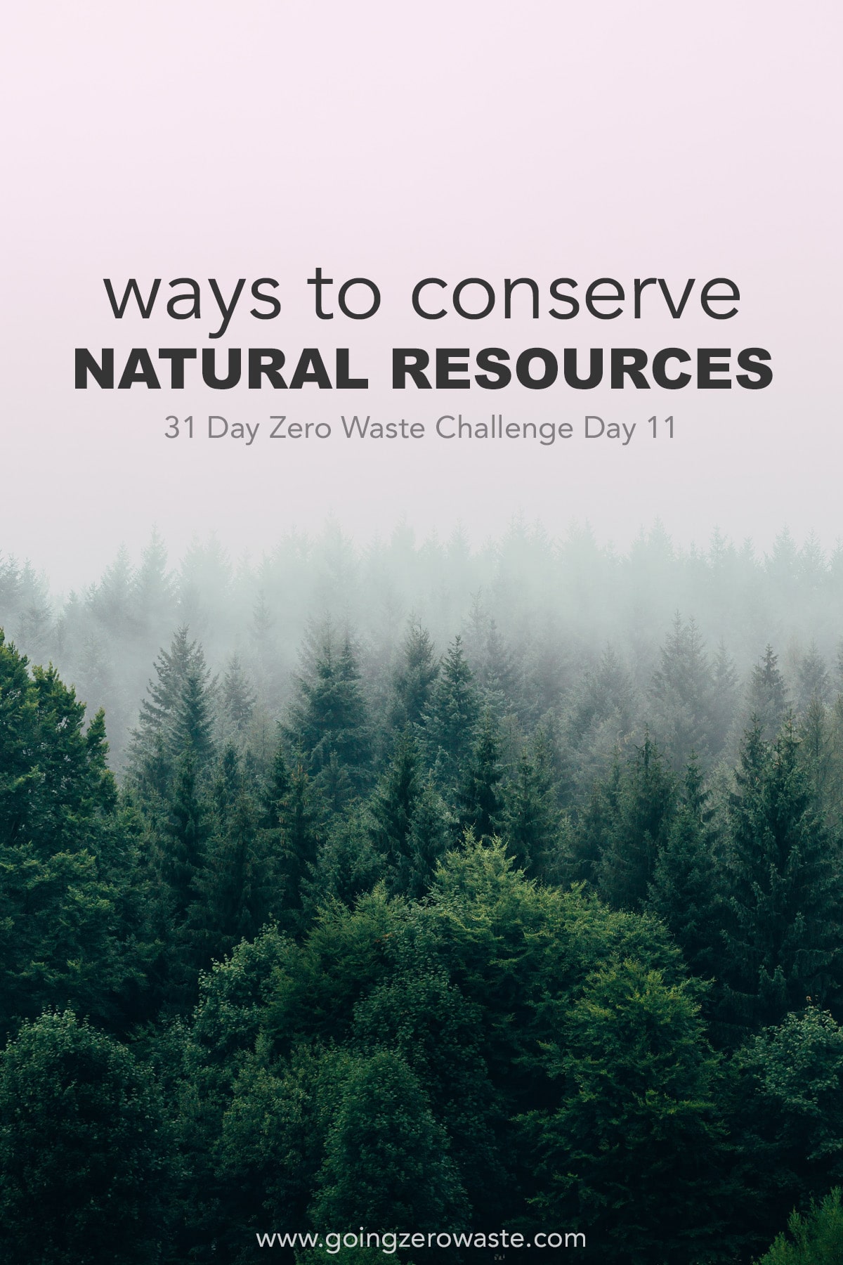 Ways to Conserve our Natural Resources - Day 11 of the Zero Waste Challenge from www.goingzerowaste.mom #zerowaste #ecofriendly #gogreen #sustainable #zerowastechallenge #challenge #sustainablelivingchallenge #conservation #naturalresources