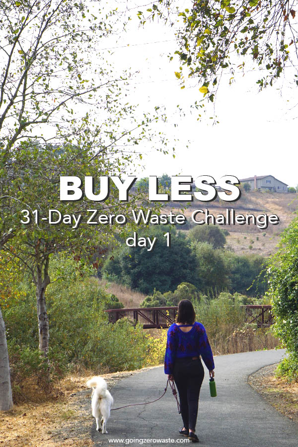 Buy Less - Day 1 of the Zero Waste Challenge from www.goingzerowaste.mom #zerowaste #ecofriendly #gogreen #sustainable #zerowastechallenge #challenge #sustainablelivingchallenge #BuyLess