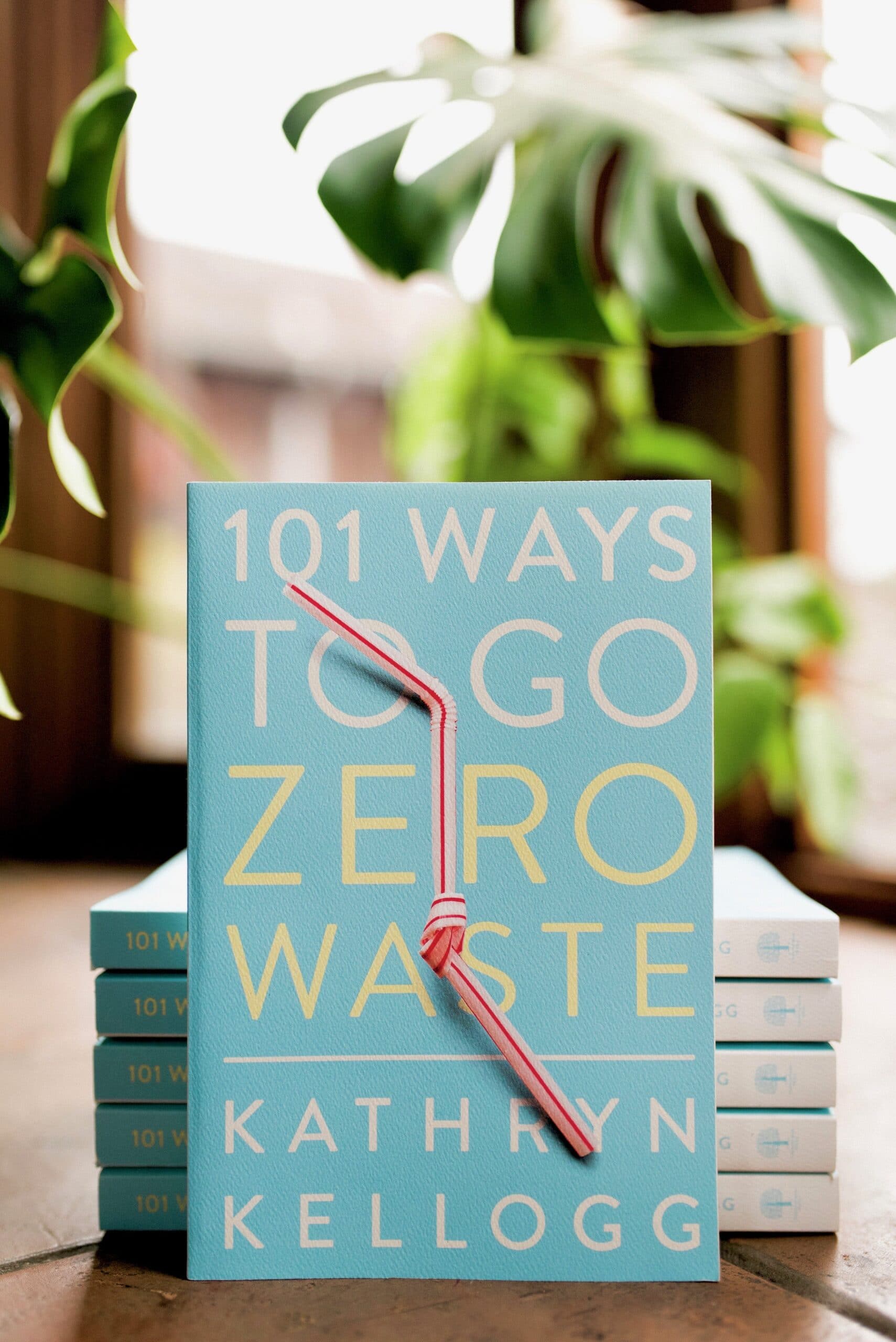 101 Ways to Go Zero Waste from www.goingzerowaste.mom #zerowaste #ecofriendly #gogreen #sustainable #zerowastechallenge #challenge #sustainablelivingchallenge 