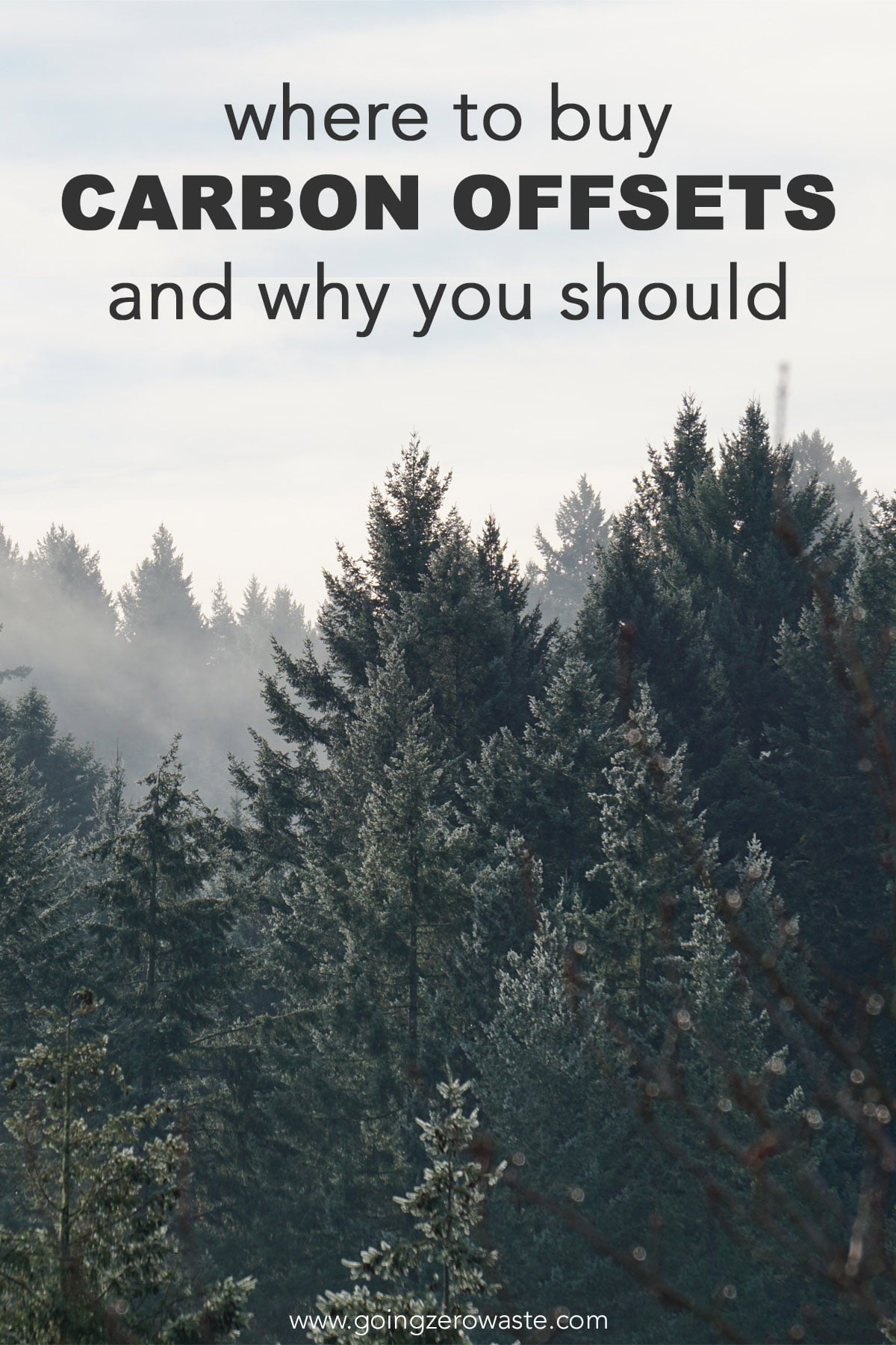 Where to Buy Carbon Offsets and Why You Should from www.goingzerowaste.mom #zerowaste #ecofriendly #gogreen #sustainable #zerowastechallenge #challenge #sustainablelivingchallenge #carbonoffsets #carbon 
