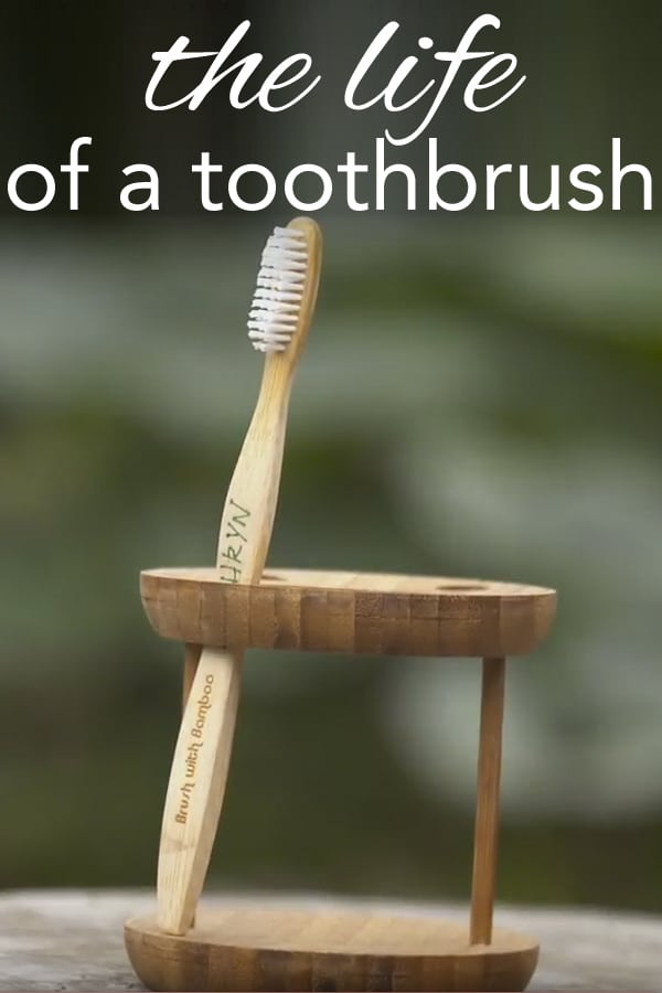 the life of a toothbrush from www.goingzerowaste.mom #zerowaste #toothbrush #bamboo #bambootoothbrush