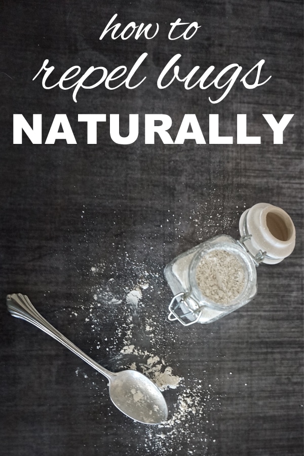 how to repel bugs naturally from www.goingzerowaste.mom #zerowaste #repelbugs #insectrepellent #ecofriendly #eco #sustainable