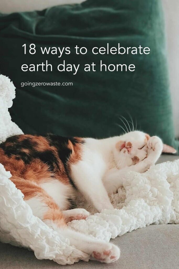 18 ways to celebrate earth day at home from www.goingzerowaste.mom #zerowaste #sustainable #gogreen #earthday #earthmonth #celebrate