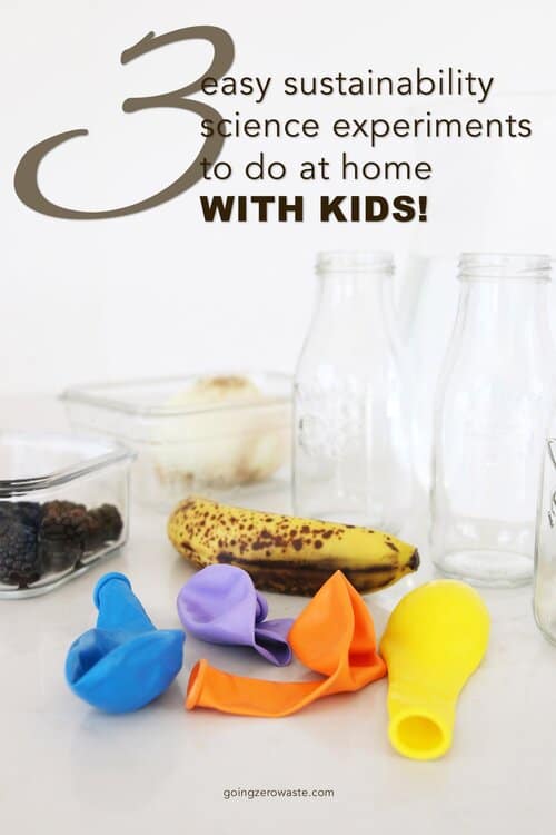 3 Simple Sustainability Science Experiments To Do At Home With Kids, Tracking Food Waste from www.goingzerowaste.mom #zerowaste #foodwaste #scienceexperiements #kids #science #scienceproject #zerowaste #ecofriendly