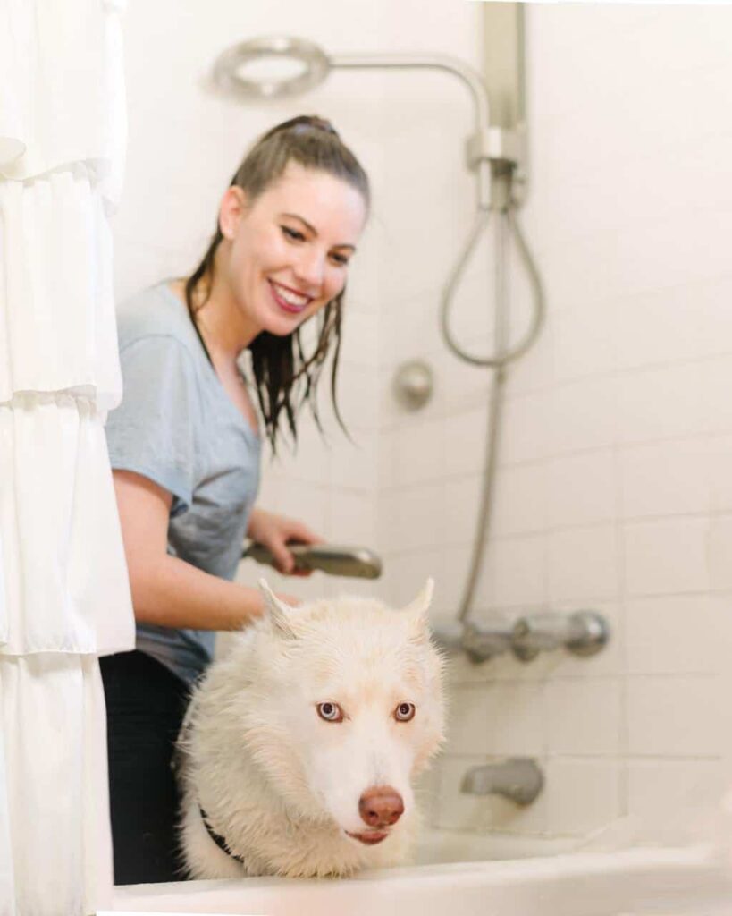 8 ways to save money on your water bill from www.goingzerowaste.mom #zerowaste #frugal #savemoney #ecofriendly #savewater #gogreen #sustainable #zerowasteswaps