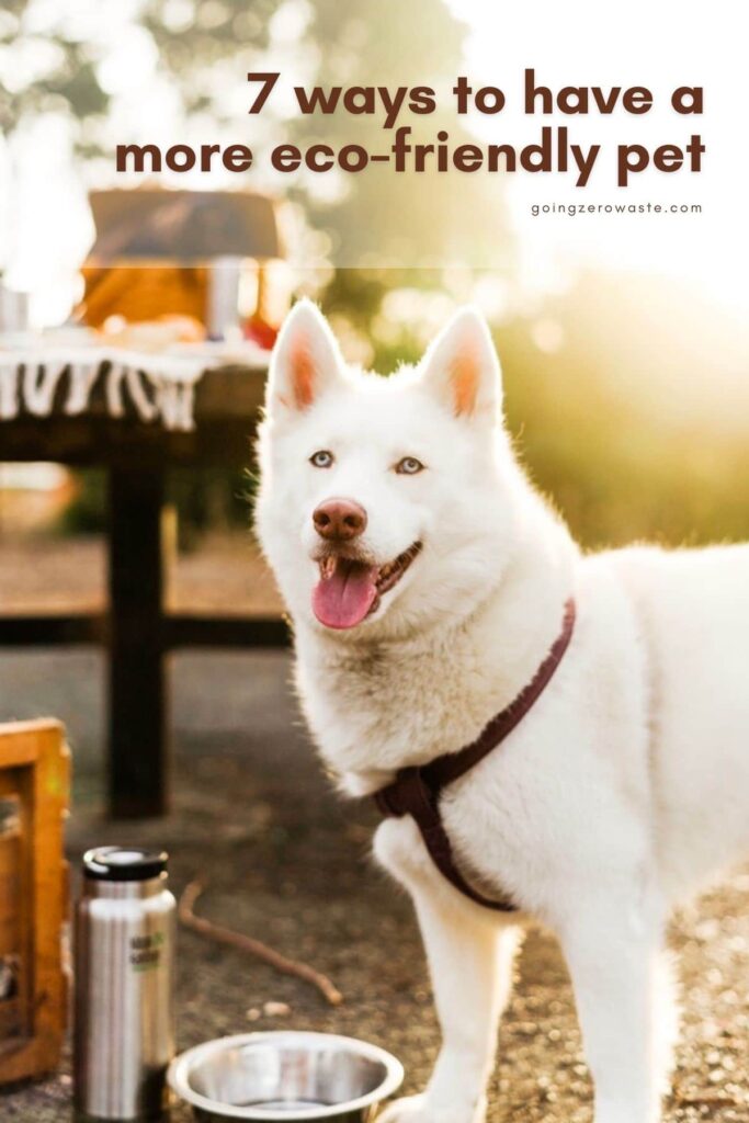 7 ways to have a more eco-friendly pet, a zero waste dog from www.goingzerowaste.mom #zerowaste #dog #pets #ecofriendly 
